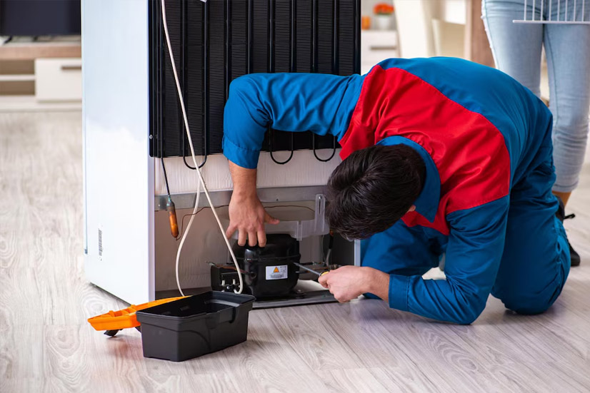 Top Fridge Repair and Services in Delhi 